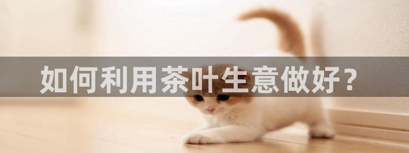 彩票鸿运网登录平台