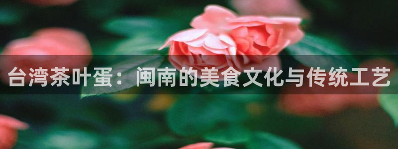 李鸿运开直播平台
