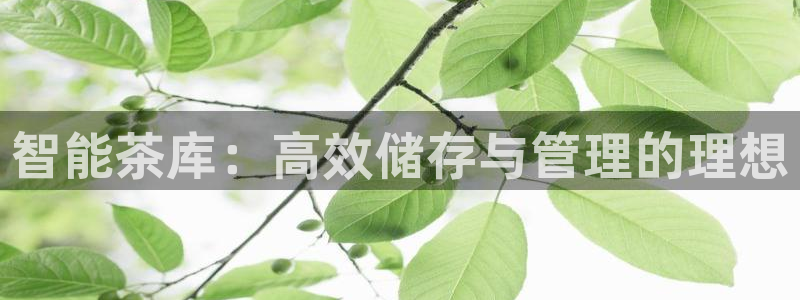 鸿运体彩平台