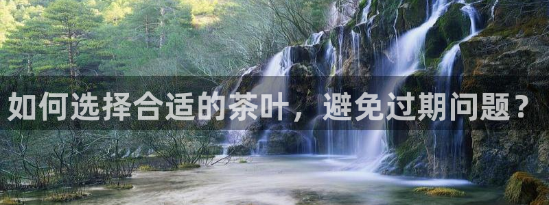 鸿运瓦罐团购平台