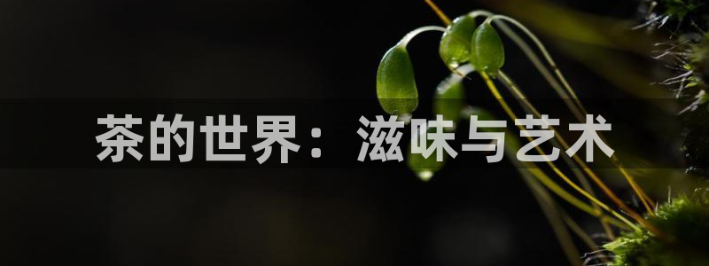 鸿运通贷款平台