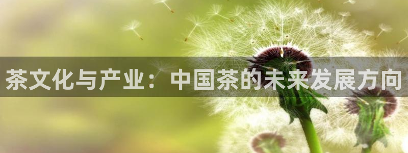 鸿运茶厂直播平台