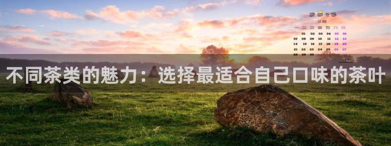 鸿运国际黑平台