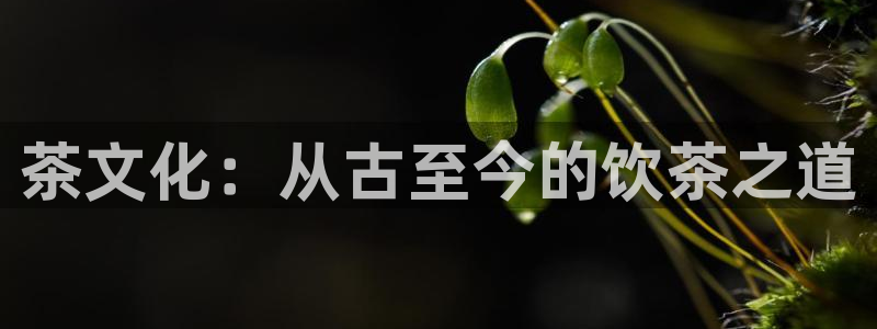 彩票鸿运网登录平台